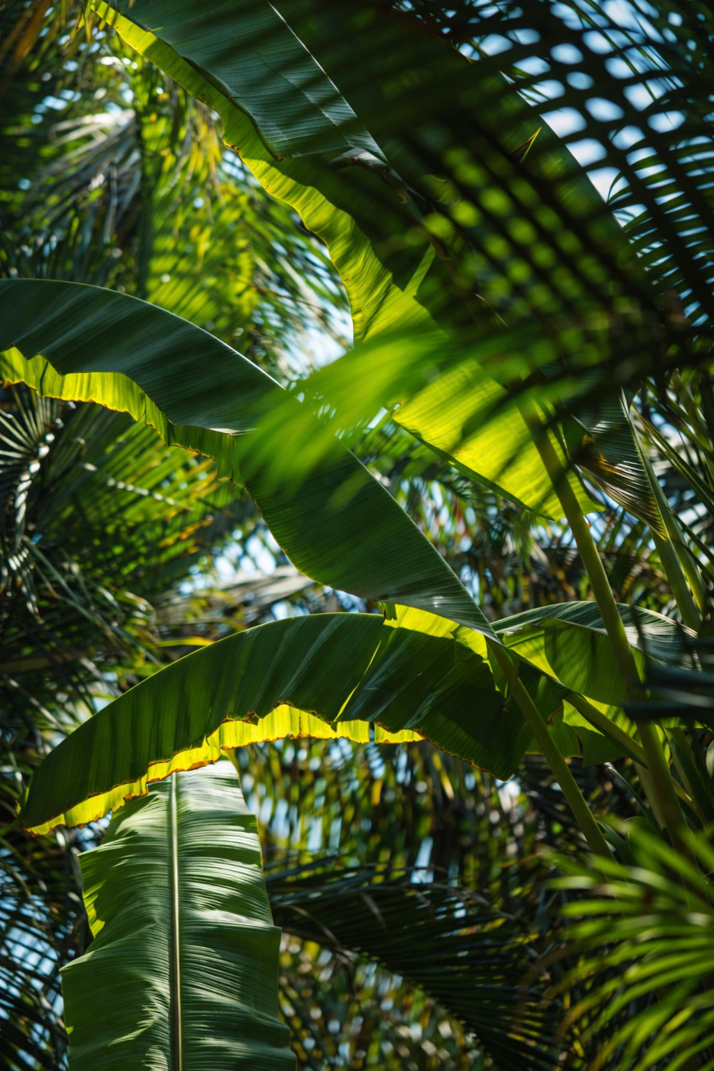 ÉCLIPSE GOURMANDE 100 ML