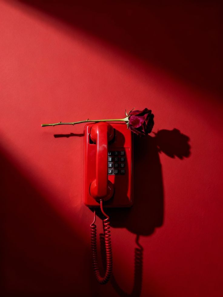 SONGE POURPRE 100 ML