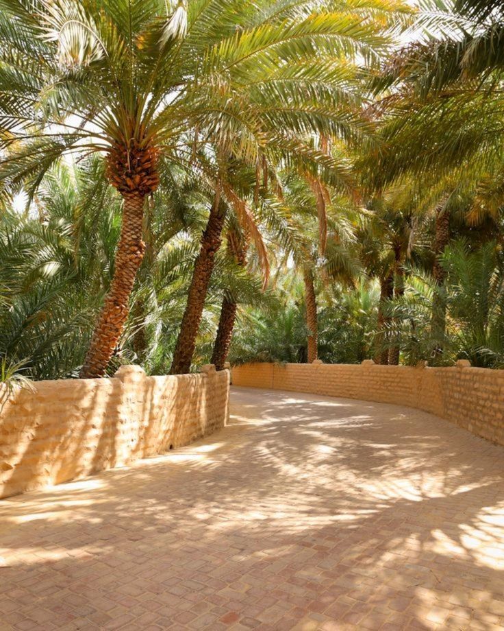 SOUFFLE D'ÉMERAUDE 100 ML